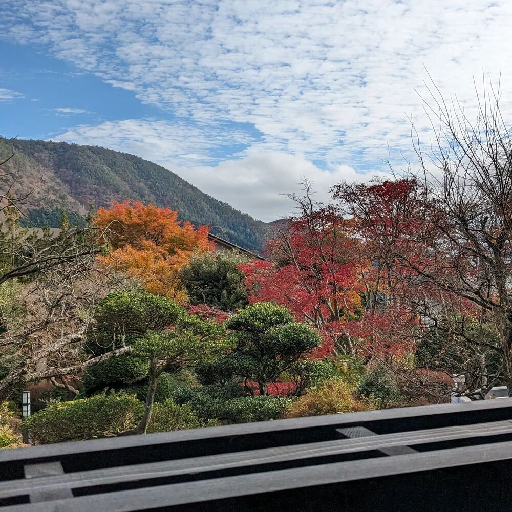 ブログ画像