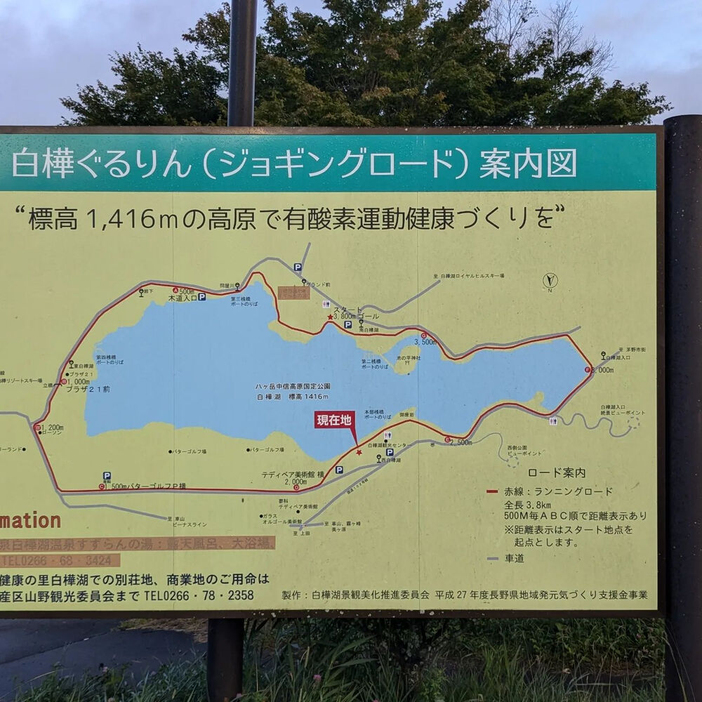 ブログ画像