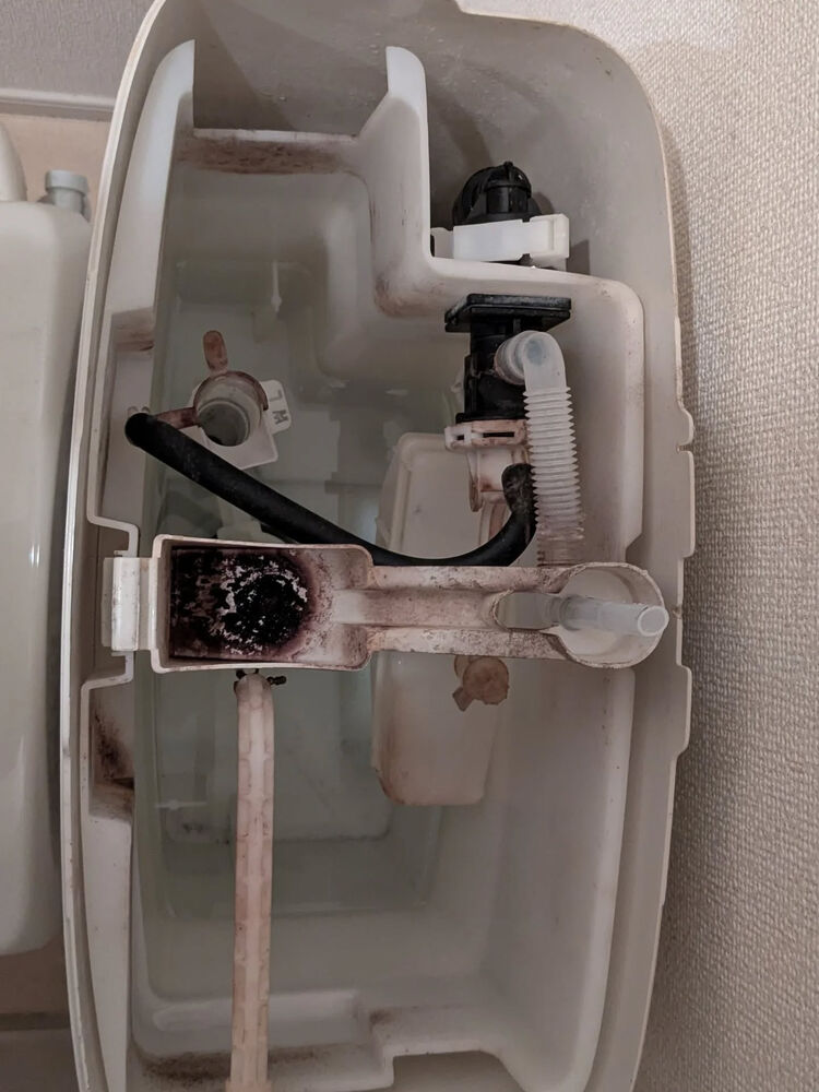 ブログ画像